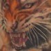 tattoo galleries/ - untitled